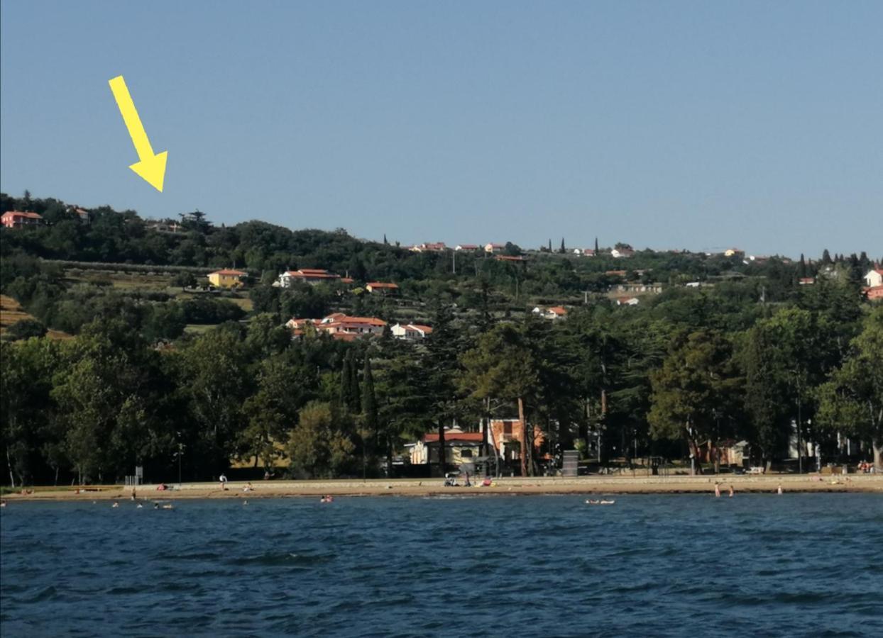 Apartma Monte Moro Apartman Ankaran Kültér fotó